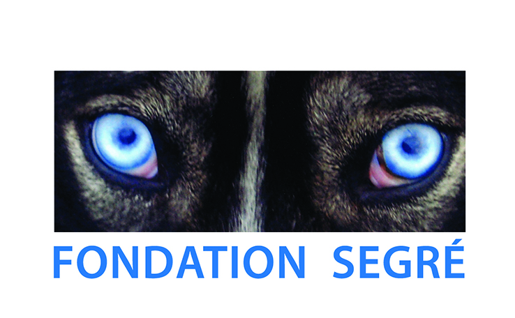 Segré Fondation